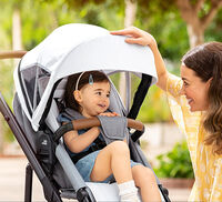 Pushchair Accessories